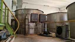 Crama veche de la Statiunea Pietroasa