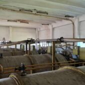 Crama veche de la Statiunea Pietroasa