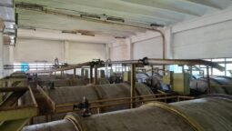 Crama veche de la Statiunea Pietroasa