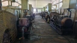 Crama veche de la Statiunea Pietroasa