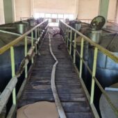 Crama veche de la Statiunea Pietroasa