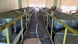 Crama veche de la Statiunea Pietroasa