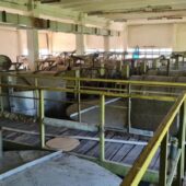 Crama veche de la Statiunea Pietroasa