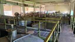 Crama veche de la Statiunea Pietroasa