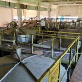 Crama veche de la Statiunea Pietroasa