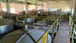 Crama veche de la Statiunea Pietroasa