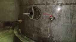 Crama veche de la Statiunea Pietroasa