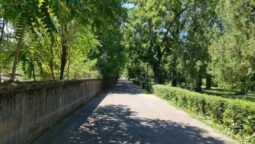 Guava, terasa libaneza pe malul Lacului Floreasca