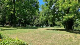 Guava, terasa libaneza pe malul Lacului Floreasca