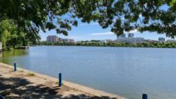 Guava, terasa libaneza pe malul Lacului Floreasca