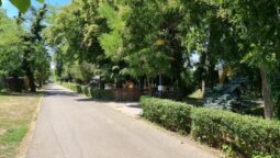 Guava, terasa libaneza pe malul Lacului Floreasca