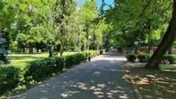 Guava, terasa libaneza pe malul Lacului Floreasca