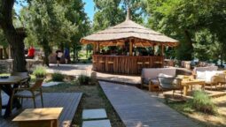 Guava, terasa libaneza pe malul Lacului Floreasca