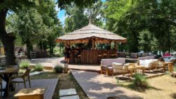 Guava, terasa libaneza pe malul Lacului Floreasca