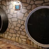 Pivnita cu comori de la Statiunea de Cercetare Pietroasa