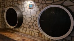 Pivnita cu comori de la Statiunea de Cercetare Pietroasa