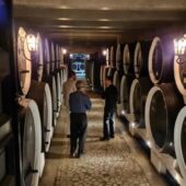 Pivnita cu comori de la Statiunea de Cercetare Pietroasa