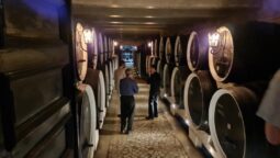 Pivnita cu comori de la Statiunea de Cercetare Pietroasa