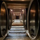 Pivnita cu comori de la Statiunea de Cercetare Pietroasa