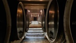 Pivnita cu comori de la Statiunea de Cercetare Pietroasa