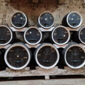 Pivnita cu comori de la Statiunea de Cercetare Pietroasa