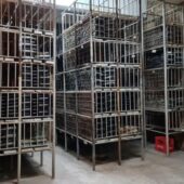 Pivnita cu comori de la Statiunea de Cercetare Pietroasa