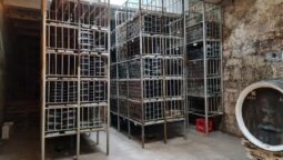 Pivnita cu comori de la Statiunea de Cercetare Pietroasa