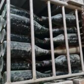 Pivnita cu comori de la Statiunea de Cercetare Pietroasa