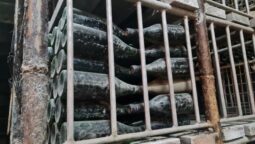 Pivnita cu comori de la Statiunea de Cercetare Pietroasa