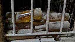 Pivnita cu comori de la Statiunea de Cercetare Pietroasa