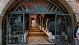 Pivnita cu comori de la Statiunea de Cercetare Pietroasa