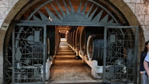 Pivnita cu comori de la Statiunea de Cercetare Pietroasa