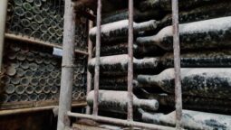 Pivnita cu comori de la Statiunea de Cercetare Pietroasa