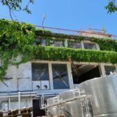 Statiunea de Cercetare Dezvoltare pentru Viticultura si Vinificatie Pietroasa