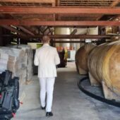 Statiunea de Cercetare Dezvoltare pentru Viticultura si Vinificatie Pietroasa