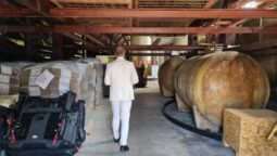 Statiunea de Cercetare Dezvoltare pentru Viticultura si Vinificatie Pietroasa