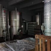 Statiunea de Cercetare Dezvoltare pentru Viticultura si Vinificatie Pietroasa