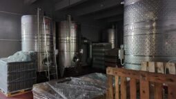 Statiunea de Cercetare Dezvoltare pentru Viticultura si Vinificatie Pietroasa