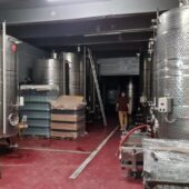 Statiunea de Cercetare Dezvoltare pentru Viticultura si Vinificatie Pietroasa