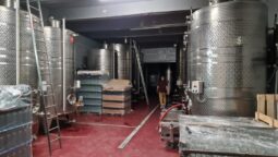 Statiunea de Cercetare Dezvoltare pentru Viticultura si Vinificatie Pietroasa