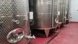 Statiunea de Cercetare Dezvoltare pentru Viticultura si Vinificatie Pietroasa