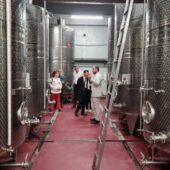 Statiunea de Cercetare Dezvoltare pentru Viticultura si Vinificatie Pietroasa