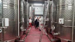 Statiunea de Cercetare Dezvoltare pentru Viticultura si Vinificatie Pietroasa