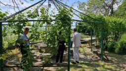 Statiunea de Cercetare Dezvoltare pentru Viticultura si Vinificatie Pietroasa Buzau