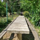 Statiunea de Cercetare Dezvoltare pentru Viticultura si Vinificatie Pietroasa Buzau