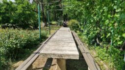 Statiunea de Cercetare Dezvoltare pentru Viticultura si Vinificatie Pietroasa Buzau