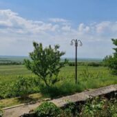 Statiunea de Cercetare Dezvoltare pentru Viticultura si Vinificatie Pietroasa Buzau