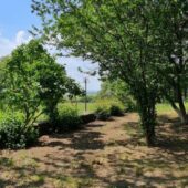 Statiunea de Cercetare Dezvoltare pentru Viticultura si Vinificatie Pietroasa Buzau