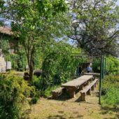 Statiunea de Cercetare Dezvoltare pentru Viticultura si Vinificatie Pietroasa Buzau