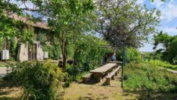 Statiunea de Cercetare Dezvoltare pentru Viticultura si Vinificatie Pietroasa Buzau